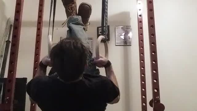 Ring Rows (False Grip)