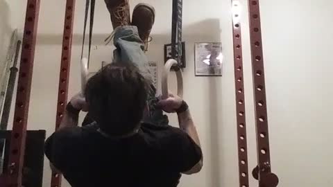 Ring Rows (False Grip)