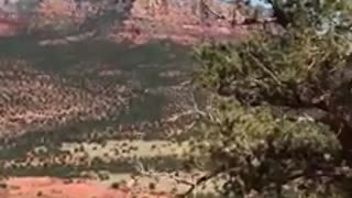 Cathedral Rock Sedona Wind