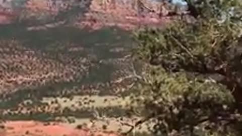 Cathedral Rock Sedona Wind