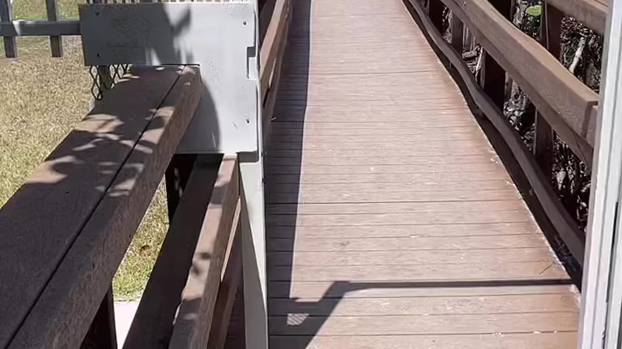 Livestream Replay from South Beach on Marco Island 4/1/2023.