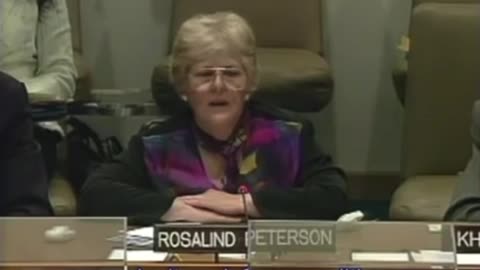 2006 UN Rat Chemtrail-Präsentation by Rosalind Peterson EN - Geoengineering - backup