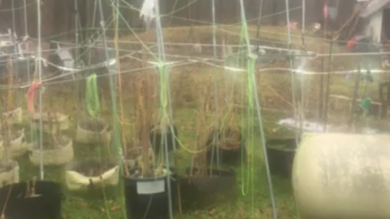 NFL Radio Detroit Lions 07 at Minnesota Vikings 07 second quarter start