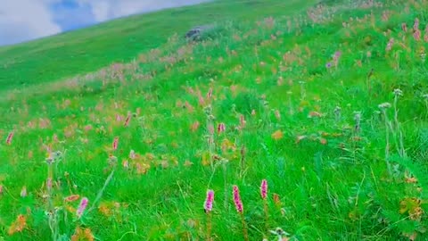 Cloudy Mountains | Beauty's of Supat Mountains | Supat tour | Supat Valley Kohistan