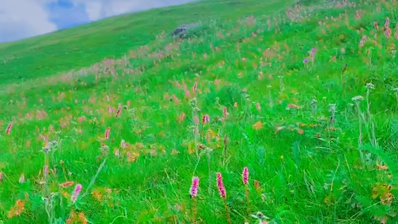 Cloudy Mountains | Beauty's of Supat Mountains | Supat tour | Supat Valley Kohistan