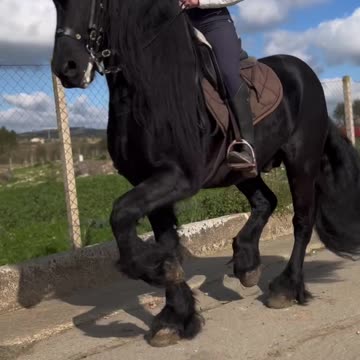 March March Marching