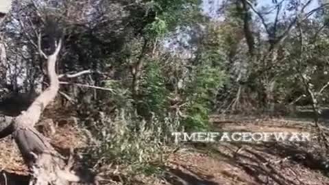 The work of Ukrainian panzerwafle