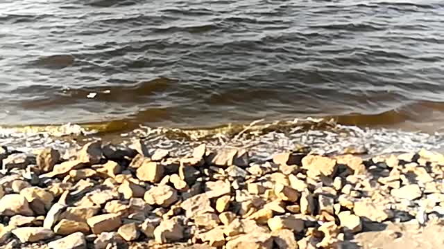 Windy Beautiful Day At Qarun Lake Water