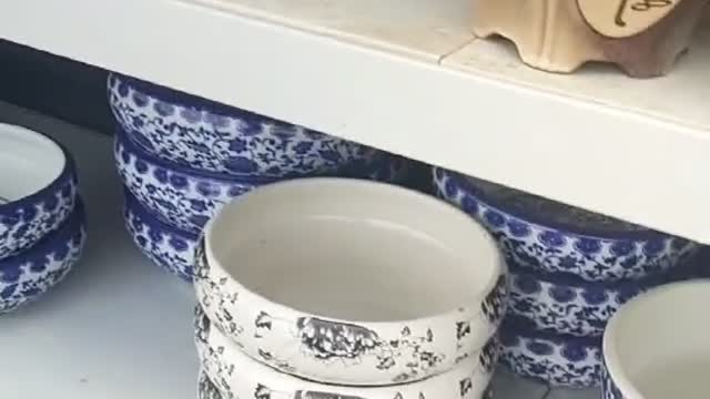 ceramic flower pot