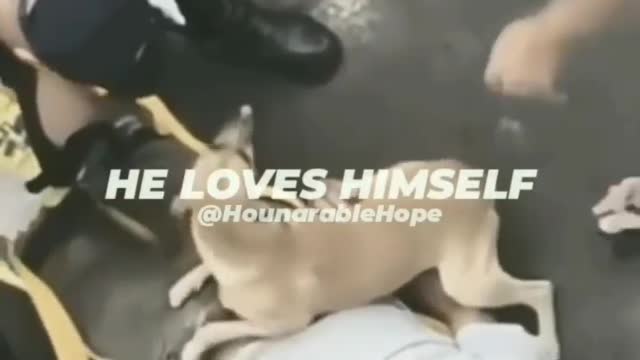 incredible dog love Dog love