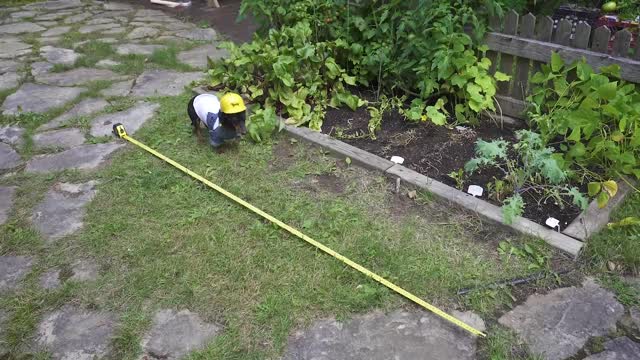 Crusoe the 'Handydog' Build a Fence! - (Cute Dachshund Video!)