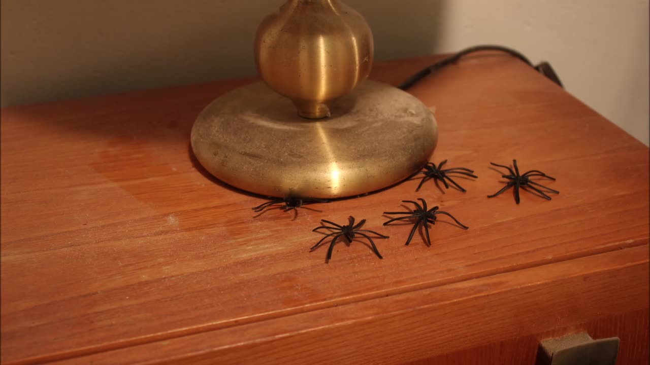 Spiders - a short StopMotion aniamtion