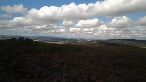 Satellite tower and heathers on Brimmond Hill Sept 2023