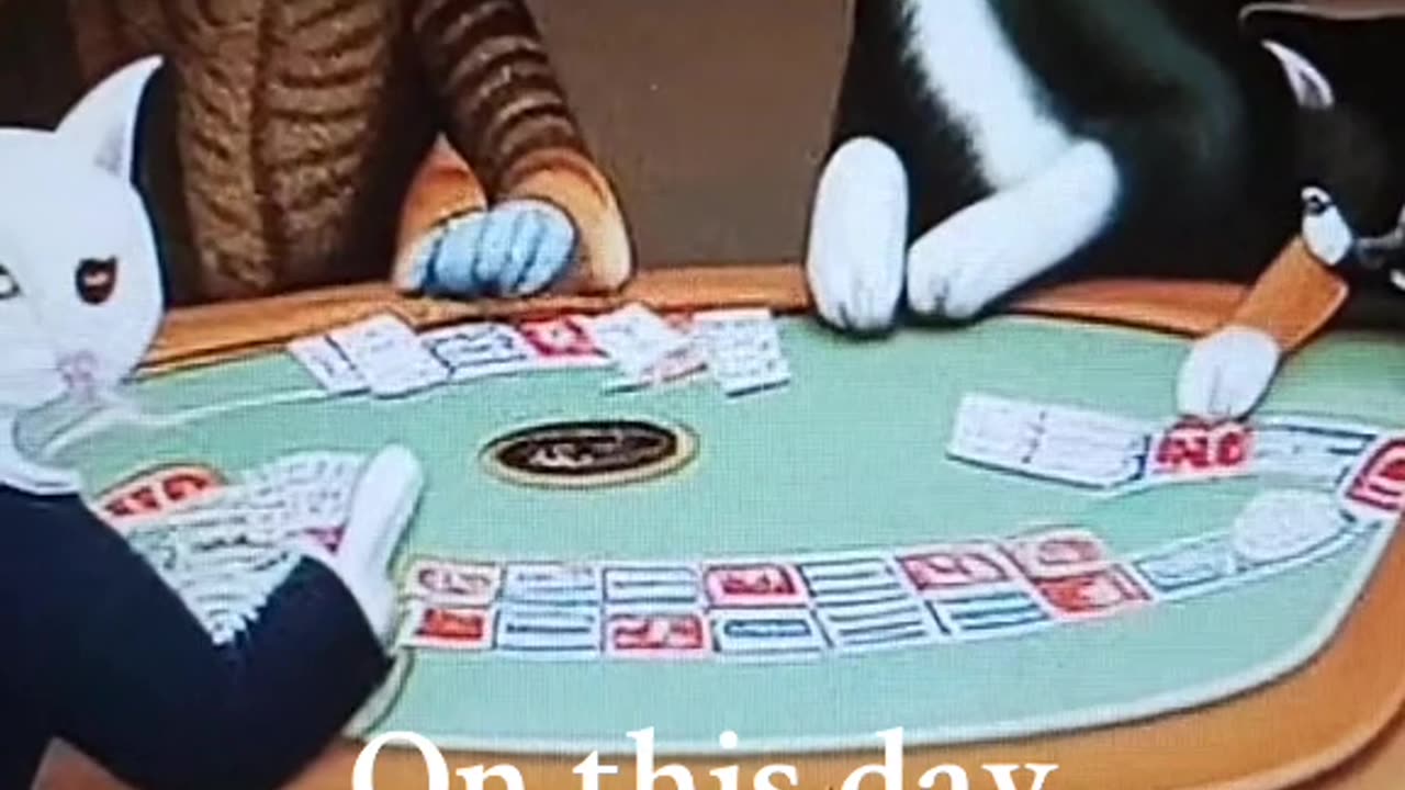 AI cat poker