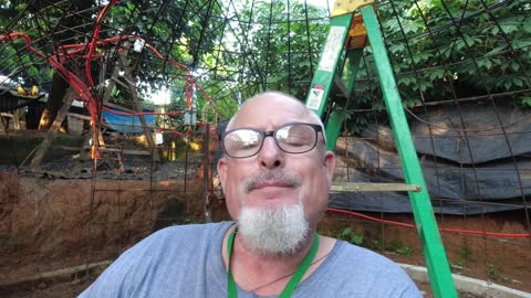 1 MANY ARE JUST PUTTING THEIR ARMS OUT, CHAINS PLEASE