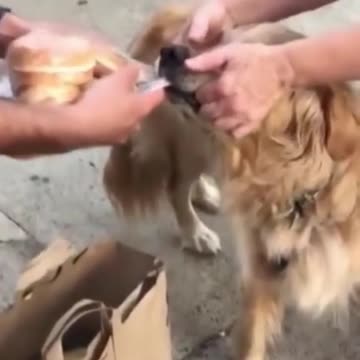 LET IT GO I WANT ThIS BREAD.mp4