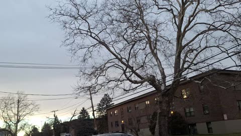 What the heck! Covering!