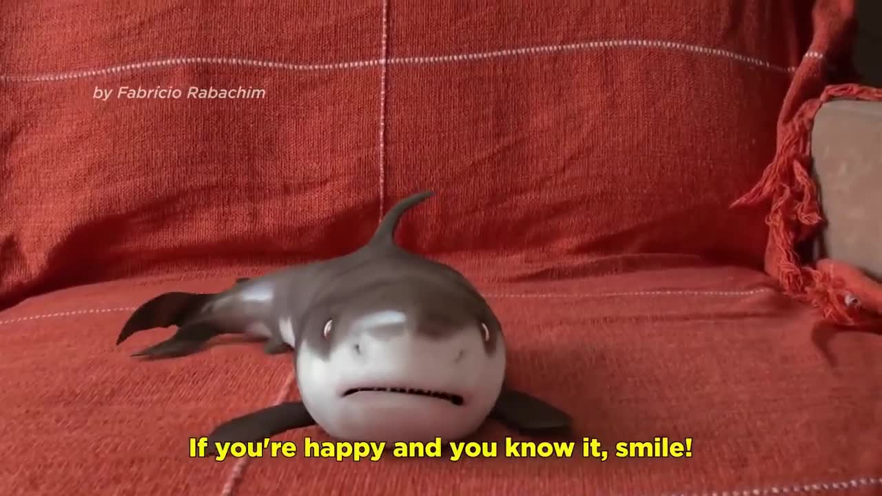 Baby shark happy shark funy animals