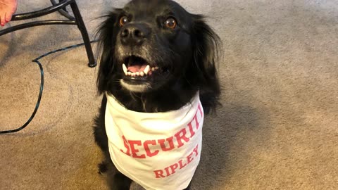 Kenny From The Tavern Episode 2