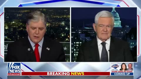 Newt Gingrich Pelosi’s decision came back to bite her