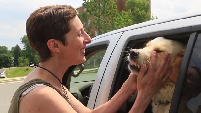 Dogs very happy to see one of the family who was away for 3 weeks