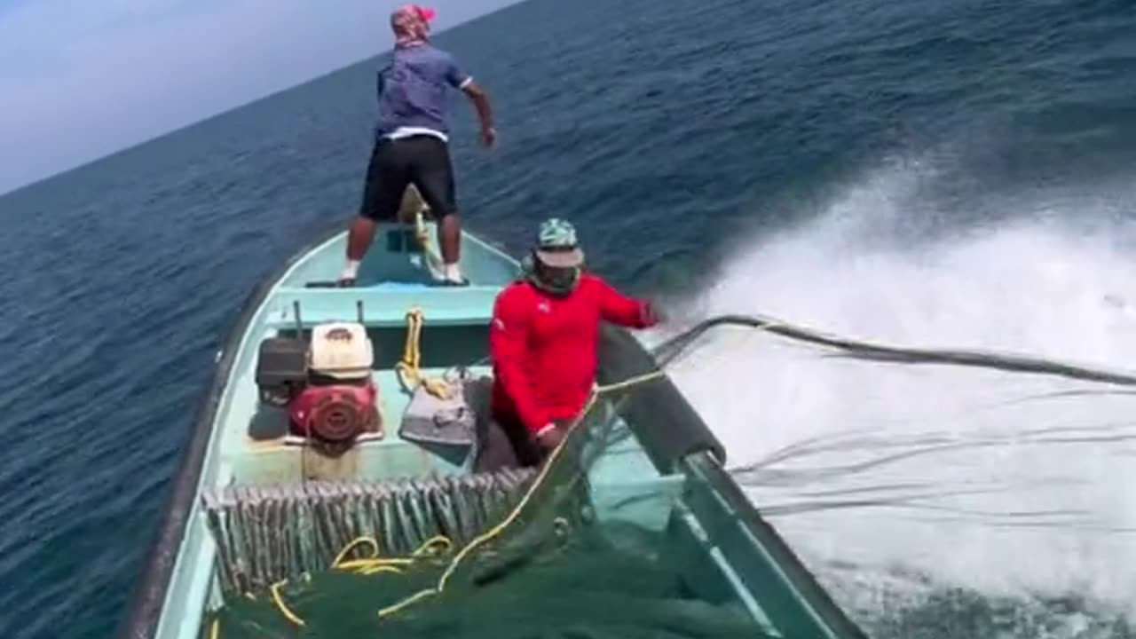 New Technique of Shipping Catching Fish from sea