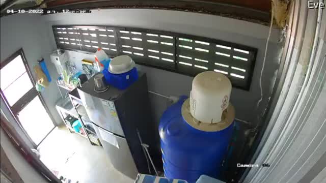 Slithering Intruder Sneaks in Through Ceiling