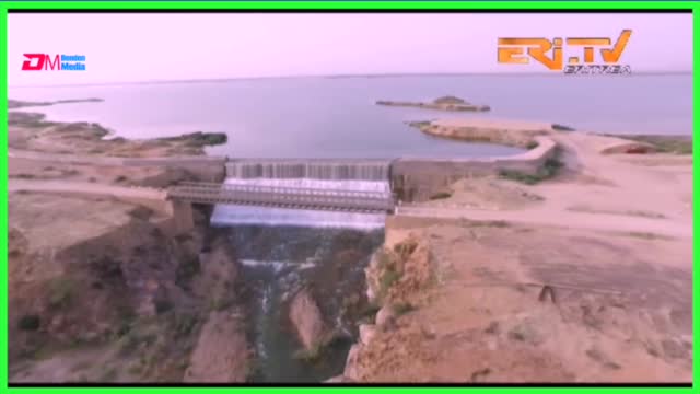 Eri TV - Eritrea on East Africa Unity