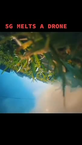 5G towers are SUPER TOXIC