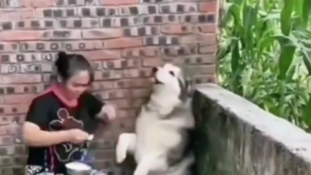 Grandmother's Love