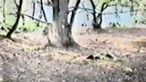 Funny Moments capture on tape