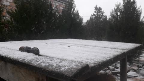 Snow storm