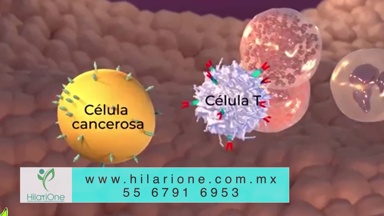 El éxito de las terapias contra el cáncer