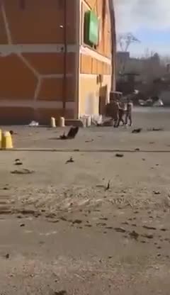 Ukraine suffer loses during battle in Irpen