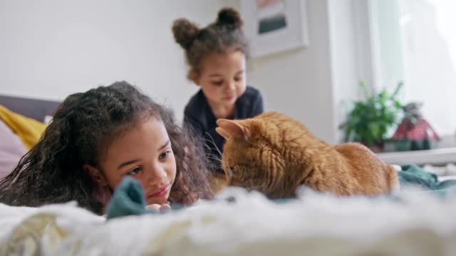 Kids Playing With Their Cat On The Bed