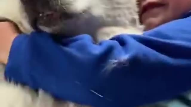 The Full 4 Year Story Of My Husky & Baby Becoming Best Friends!