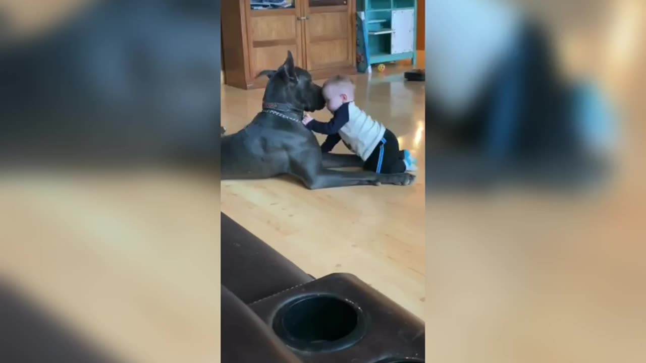 The dog protects the child while he plays