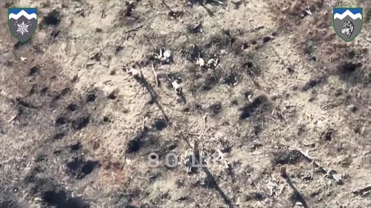 Ukrainian 8th OGSHB show their work against Russian troops in Donetsk Region. Multiple KIA seen.