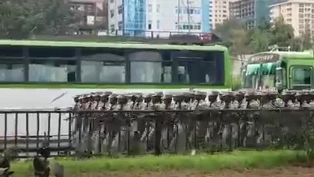 Ethiopian Army pride