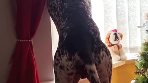 Is that what you do all day?