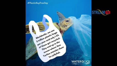 SAY NO SINGLE-USE PLASTIC