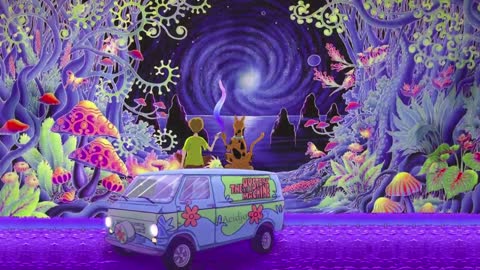 Terrance Mckenna: D.M.T Elves lecture
