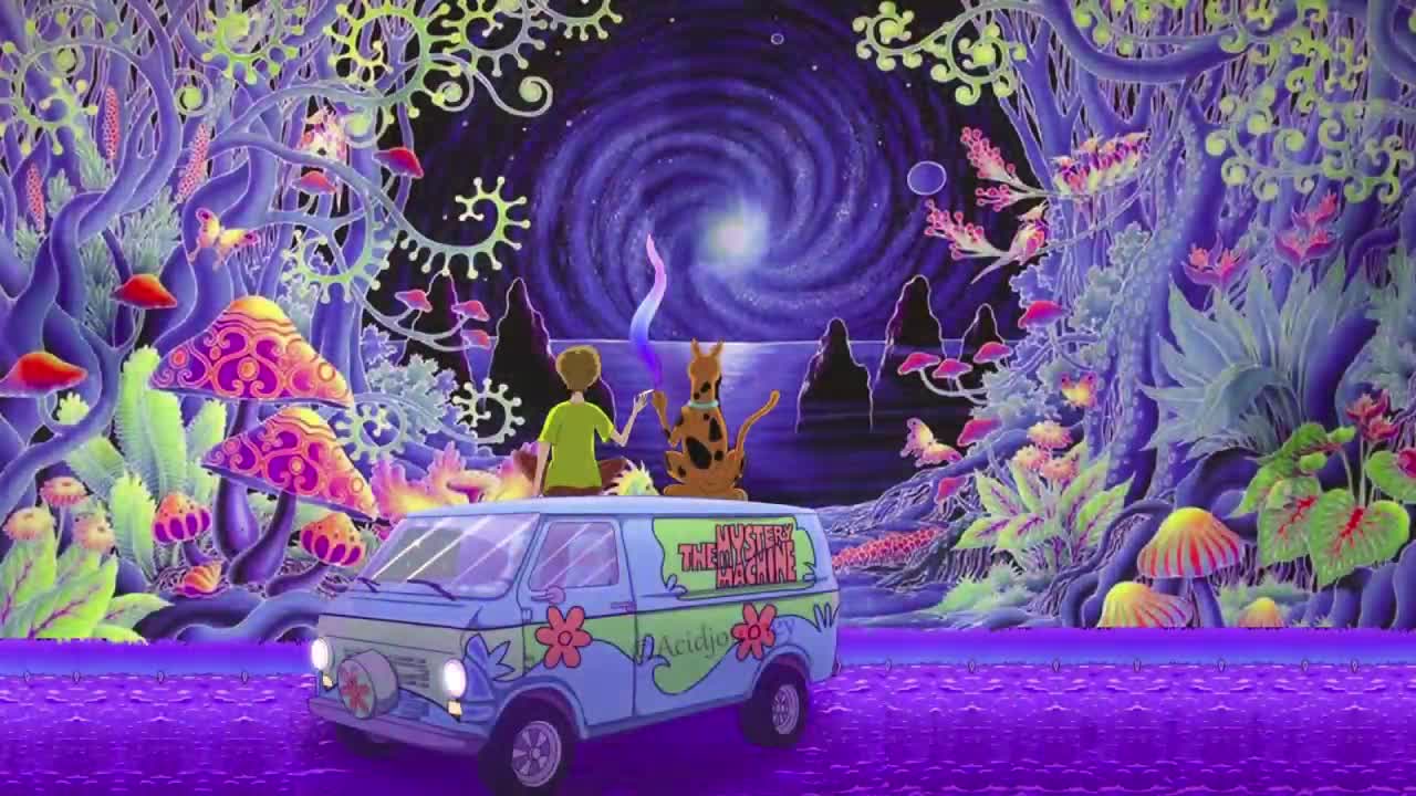 Terrance Mckenna: D.M.T Elves lecture
