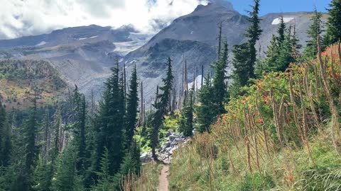 Oregon - Admiring the Face of Mount Hood