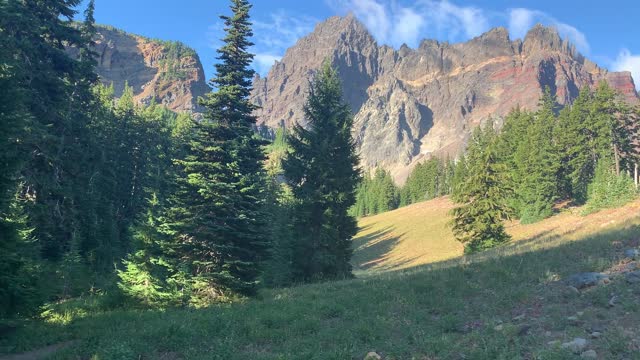 Central Oregon - Mount Jefferson Wilderness - HUGE Meadow below a HUGE Mountain