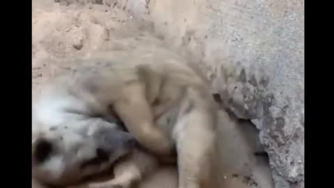 Falling asleep