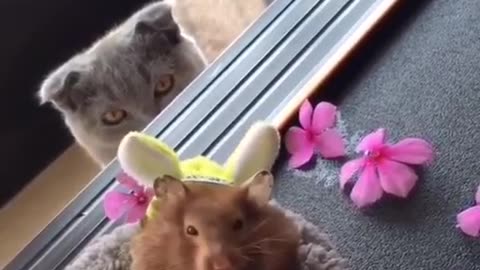 Cute little animal eating.