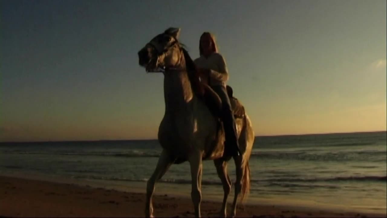 Woman on horse at seashore, walking