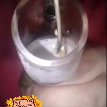 21+ another close up dabby of apple fritter and gorilla glue