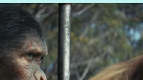Does Planet Of The Apes Have A Post-Credit Scene?